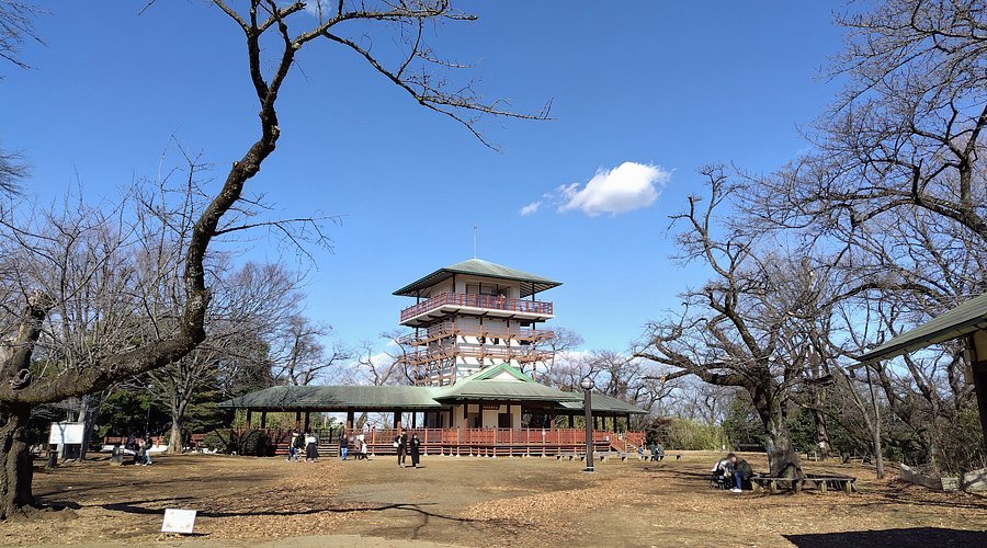 🌳 이쿠타 녹지(이쿠타 료쿠치) 이미지 4